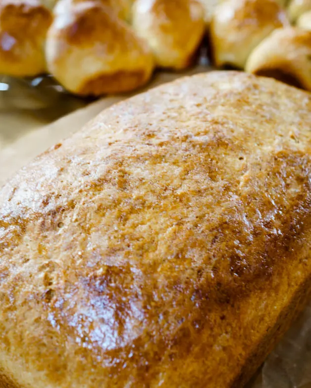 A loaf of Pumpkin Yeast Bread with rolls in the background,.