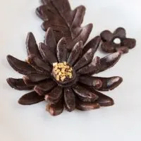 Model chocolate shaped into flowers and leaves garnished with gold sprinkles.