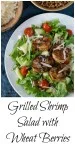 Grilled Shrimp Salad with Wheat Berries will not leave you hungry. It's filling, good for you and delicious | HostessAtHeart.com