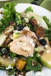top view of a green salad with slices of chicken, blueberries and pears