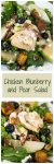 Two photo collage for Pinterest showing two views of a Green lettuce salad topped with sliced chicken, fresh pears, candied pecans, green onions, blueberries, and blue cheese crumbles. A banner with the title "Chicken Blueberry and Pear Salad runs through the center.