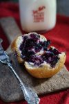Blueberry Muffin Recipe