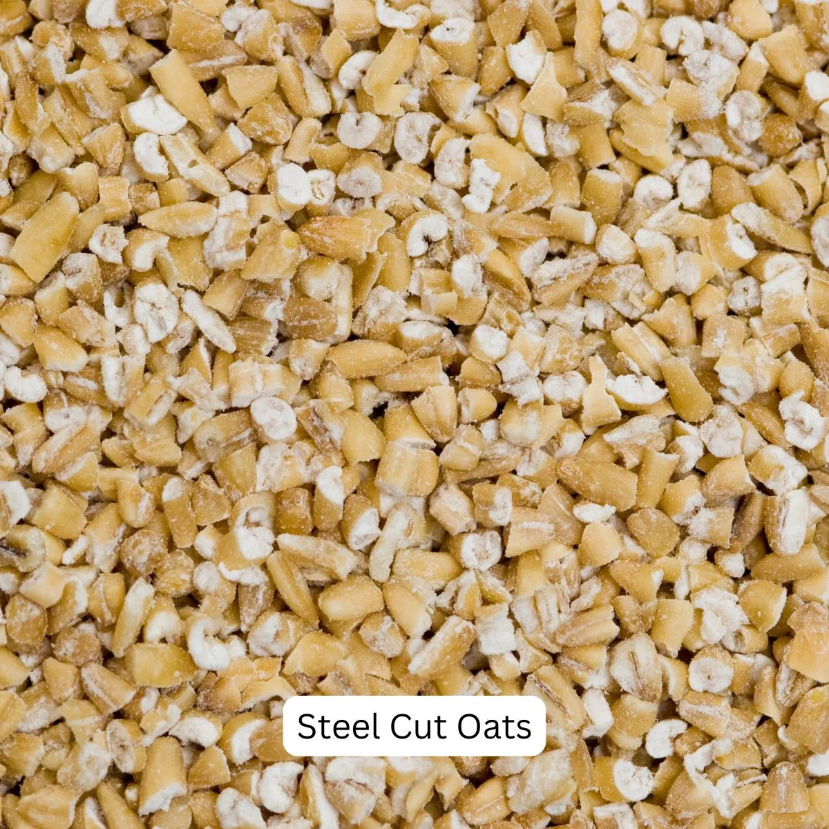 Close Up image of steel cut oats - Hostess At Heart