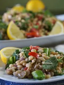 A plate bean salad garnished with wedges of lemon.