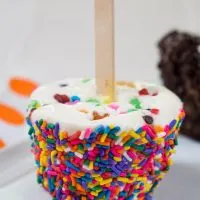 Sideview of an icecream pop rolled in rainbow sprinkles with a popsicle stick in the center sitting on a white plate.