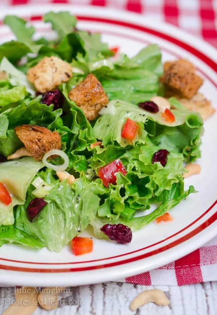 A white plate with a red rim filled with a salad that\'s dotted with green onion, craisins, croutons, and nuts. A jar of vinaigrette over a red-checked tablecloth sits in the background.