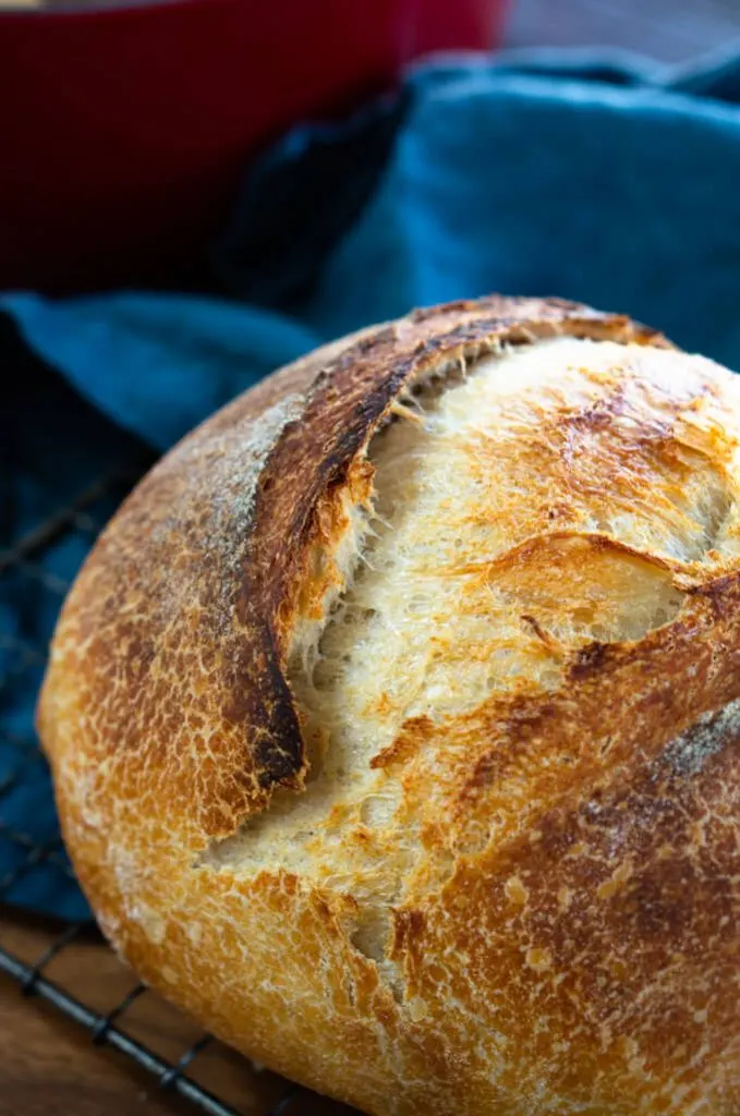 three/fourth photo of a loaf of sourdough bread on a blue napking