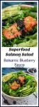 A collage of superfood salmon salad with balsamic blueberry sauce is loaded with a dark orange salmon filet, avocado and bright green leaf lettuce