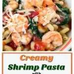 Bowl of cavatappi pasta topped with shrimp, tomatoes, spinach and grated cheese