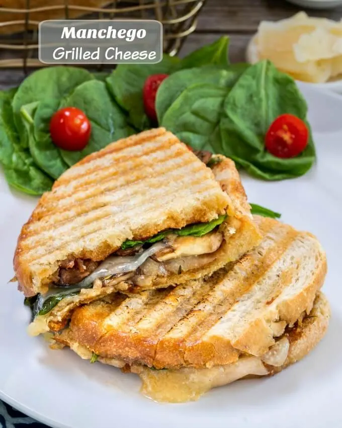 Stacked grilled cheese panini. The bread shows the grill marks and the sandwich has melted cheese oozing down the bread. It\'s all sitting next to a spinach salad with tomatoes.