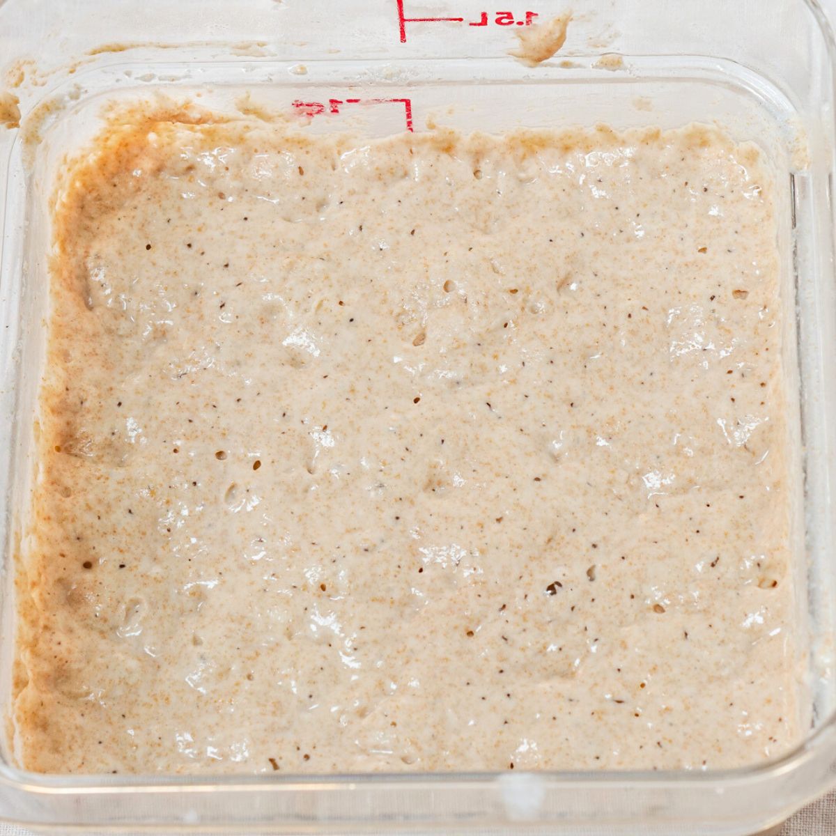 A container of newly made bread starter - Hostess At Heart