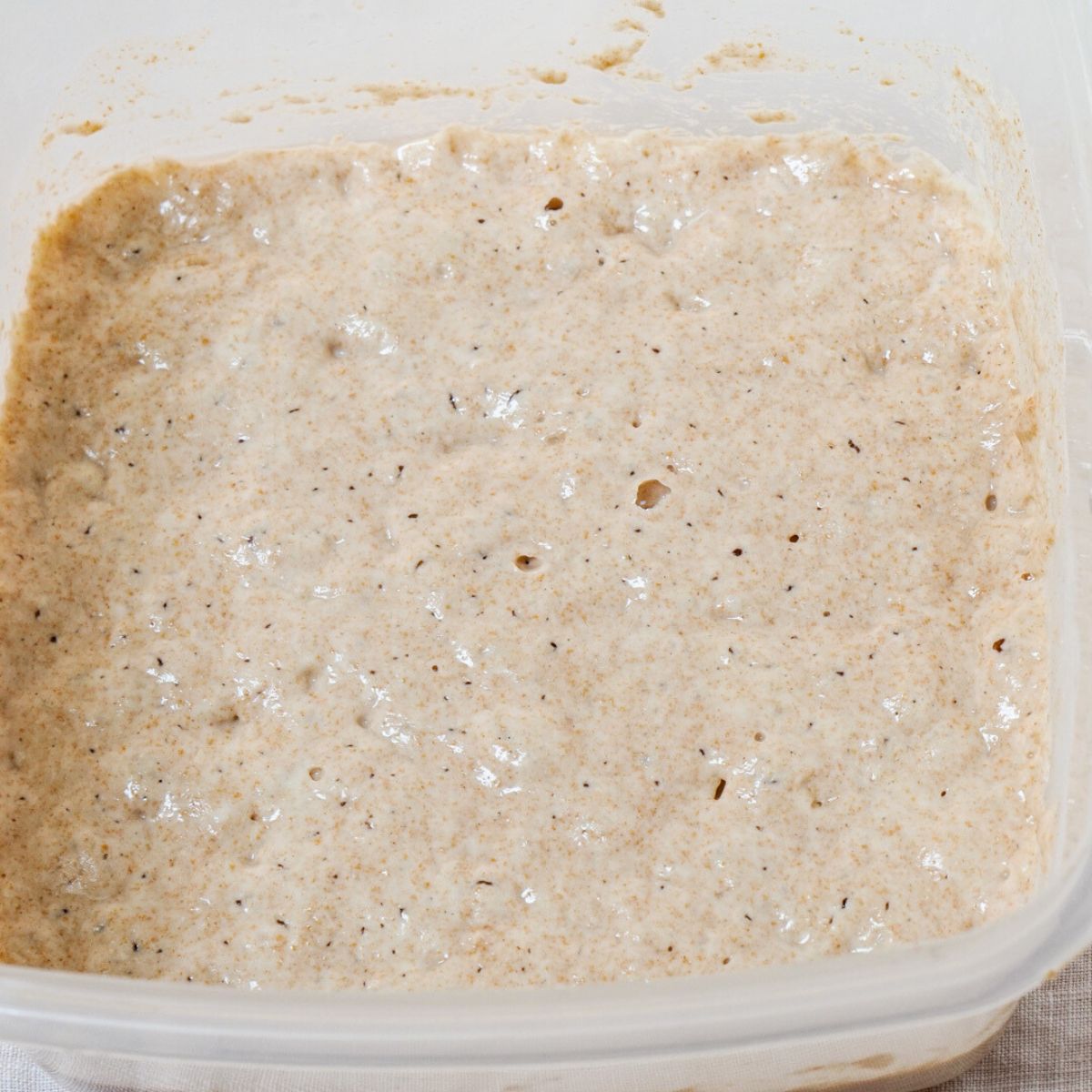 A container of mature fed sourdough starter - Hostess At Heart