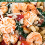 Cavatappi pasta with cooked shrimp, tomatoes, and shrimp tossed with a cheese sauce