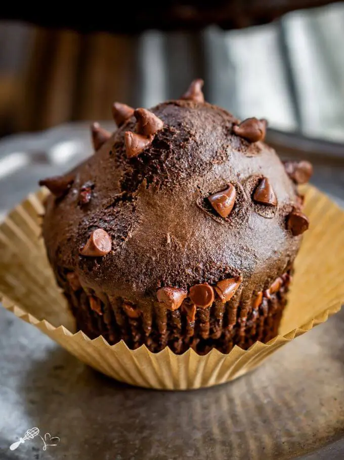 Single chocolate muffin dotted with chocolate chips sitting in a natural paper muffin paper on a metal tray.