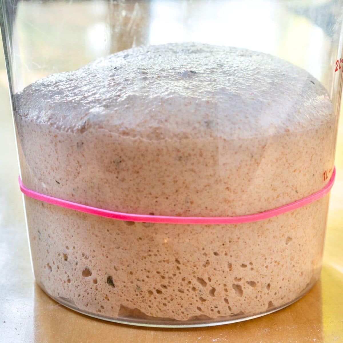 Bread dough that's visually proofed in a clear bucket. Hostess At Heart