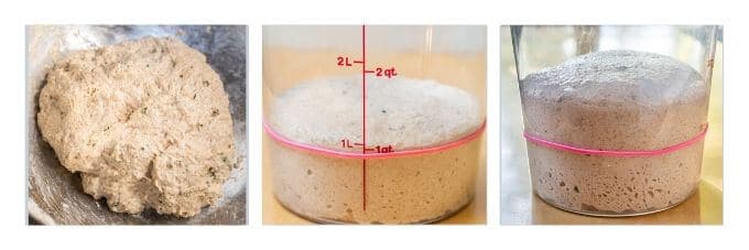 Three photos of preparing spelt bread for baking. 1st photo is ingredients squelched together. Second is dough in a clear bucket market at the 1 quart level. Third photo shows dough has doubled in volume to 2 qt mark.