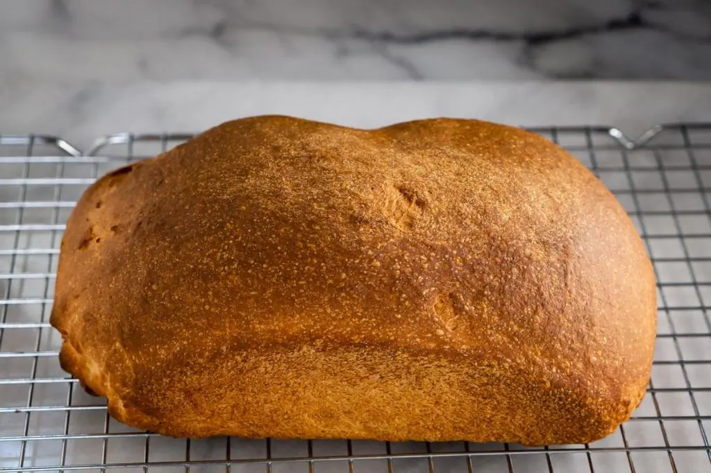 A loaf of baked golden brown bread sitting on a cooling rack over a marble counter.