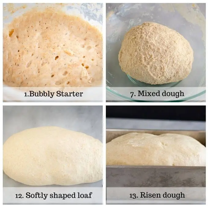 4 photo grid 1st photo is bubbly starter, second is a ball of mixed dough, 3rd is a shaped loaf, 4th is the risen loaf in a loaf pan which shows the progression of baking sourdough sandwich bread.