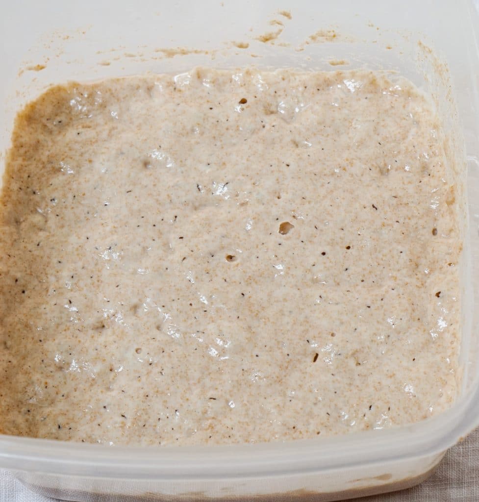 Top down photo of a container filled with bubbly sourdough starter.