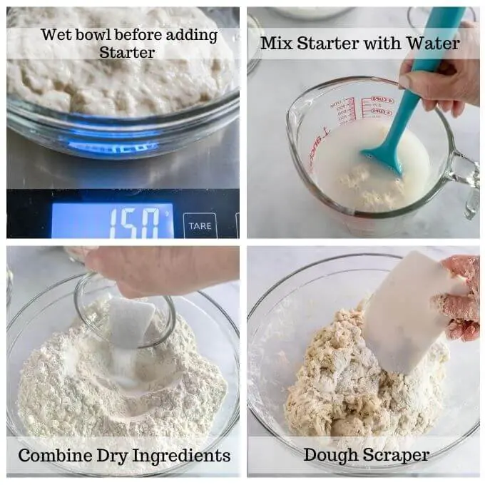 4 grid photo of how to mix sourdough including weighing the sourdough starter, mixing the starter with water, combining dry ingredients, and using a dough scraper to scrape the bread from the sides of the bowl.