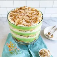 Angled view photo of a trifle bowl filled with pistachio pudding, cake, whipped cream and topped with toasted coconut with pecans.