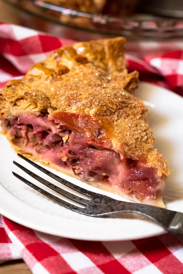 A single slice of a strawberry rhubarb pie recipe on a plate. 