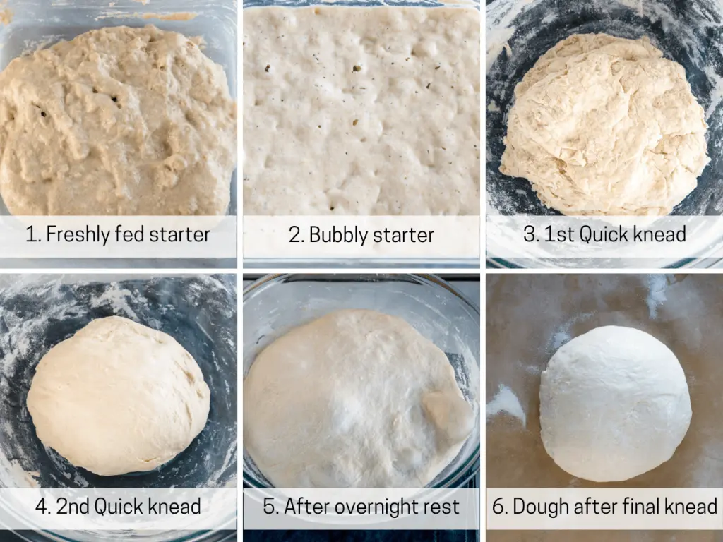 6 photo collage of the stages of bread dough progression