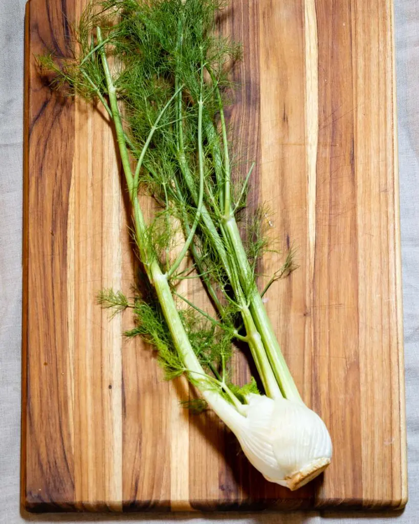 fennel on a cutting board, ready to be chopped.