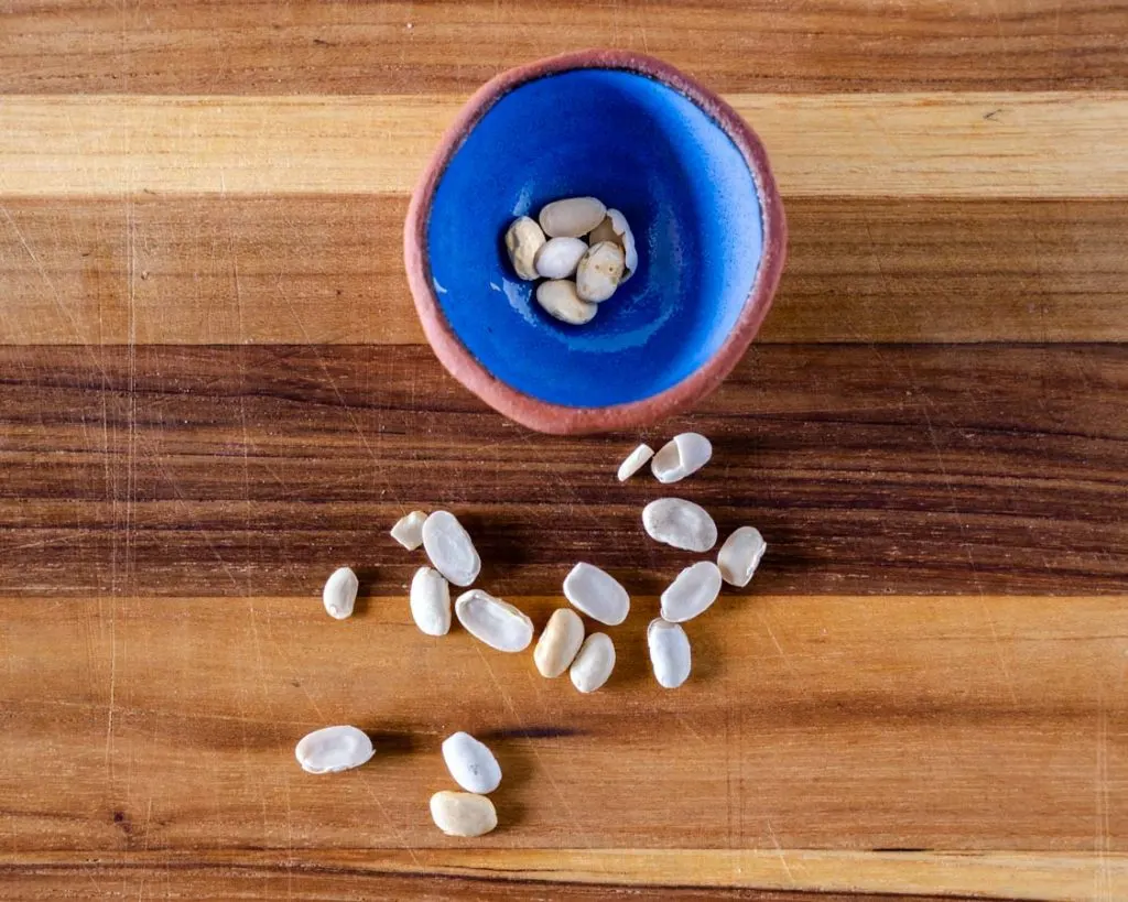 Top down view of broken dried beans.