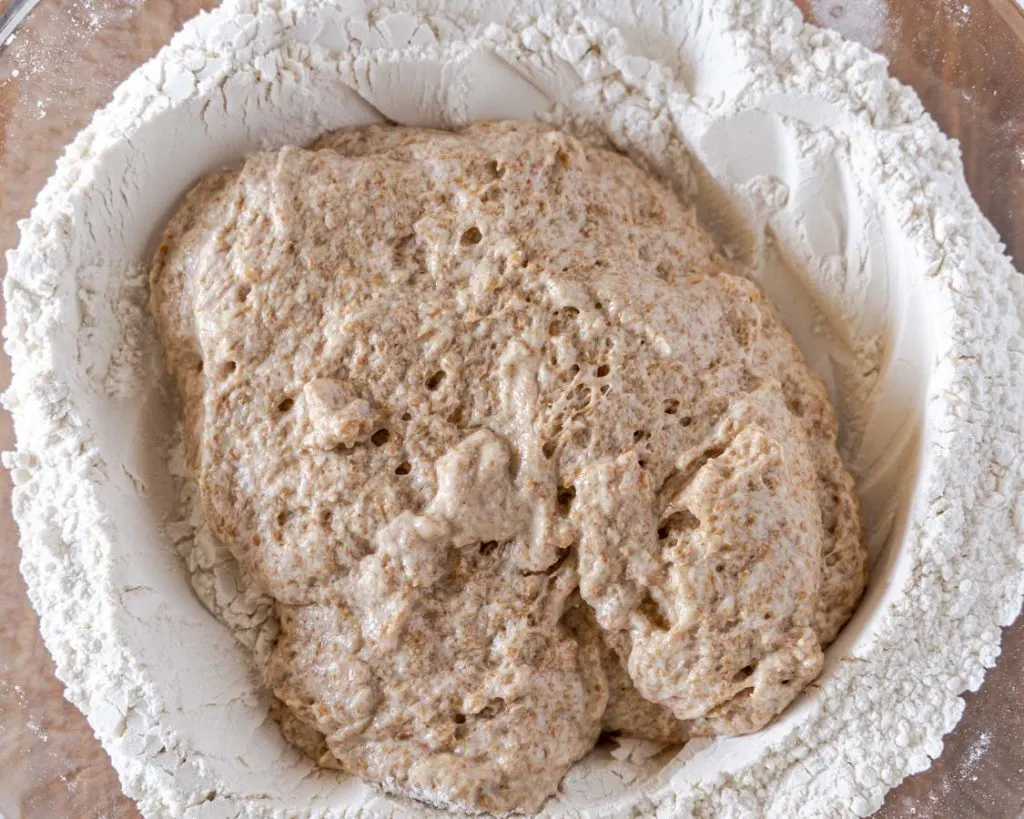 bread sponge poured into a well of AP flour 