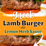 Close up front view of a grilled lamb burger topped with tomato and lettuce and herb sauce in a bun.