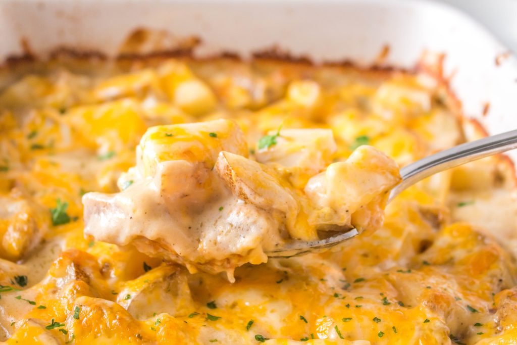 Baking dish with baked cheesy potatoes.
