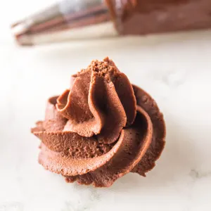 A swirl of chocolate frosting next to a piping tip.