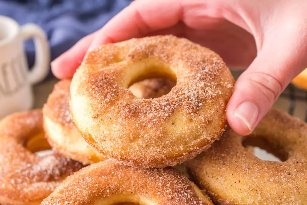 close-up view of one sourdough donut held in hand.