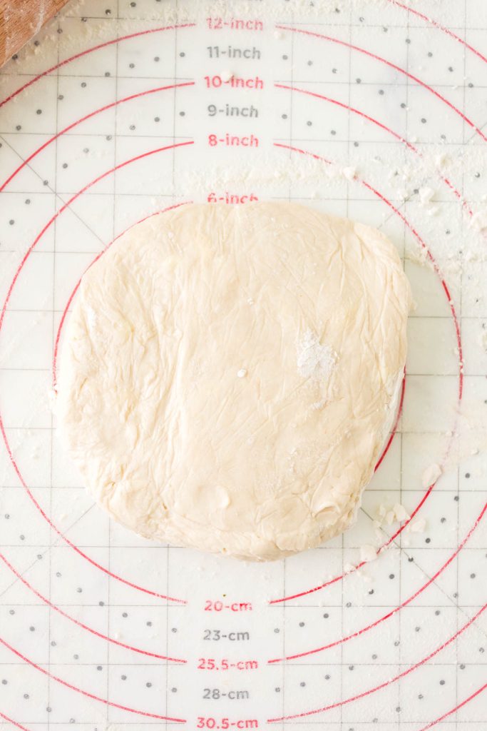 A disc of pie dough sitting on a pastry matt.