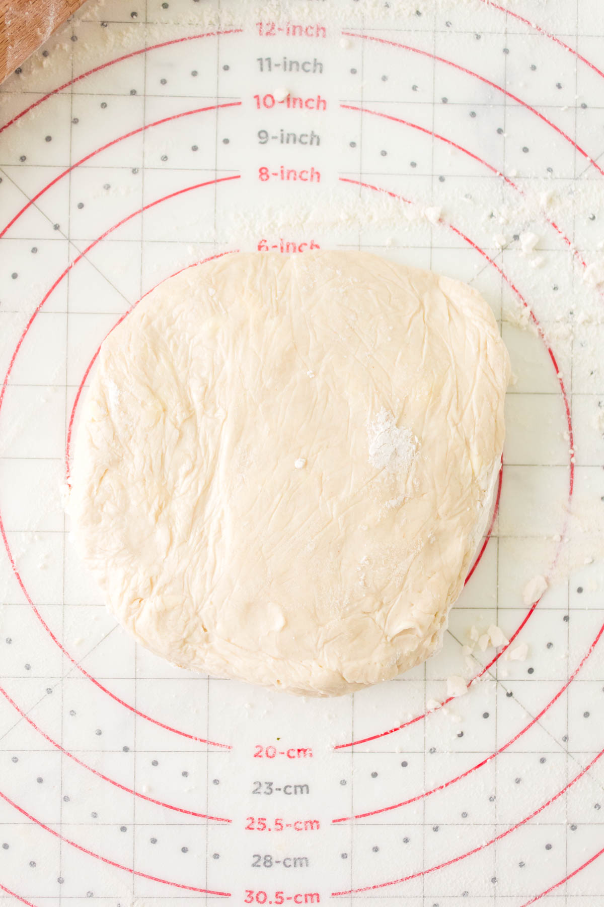 A disc of pie dough sitting on a pastry matt.