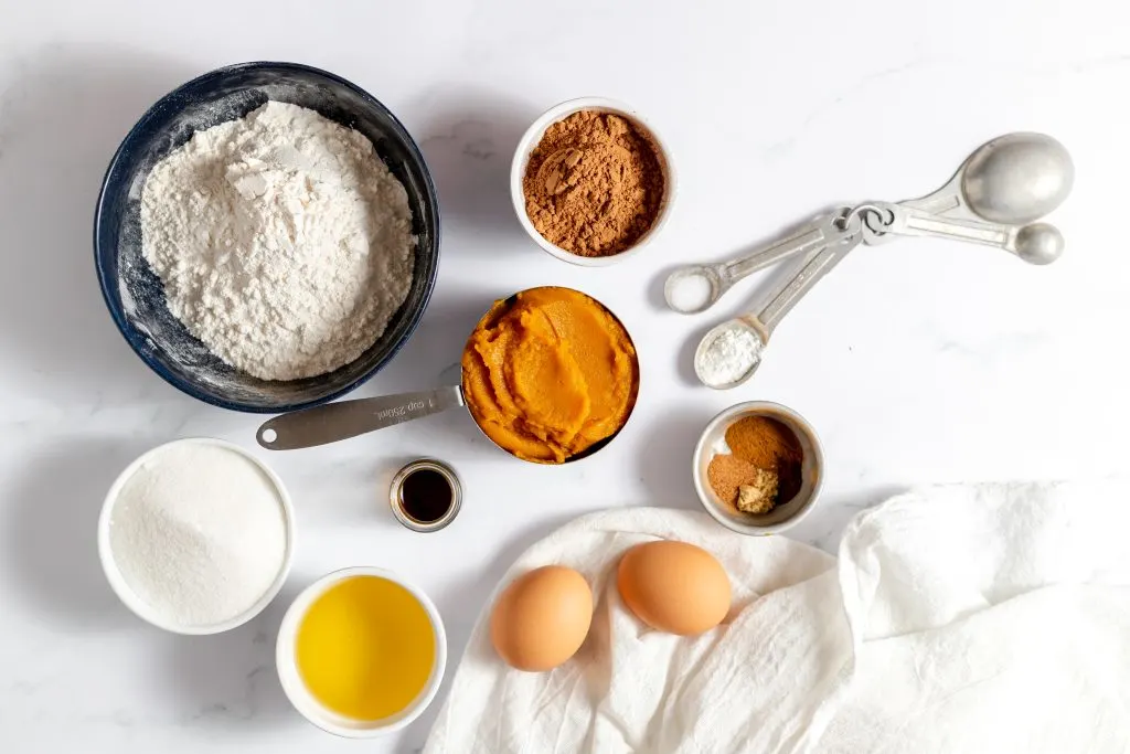 Top down view of ingredients used in chocolate pumpkin bread