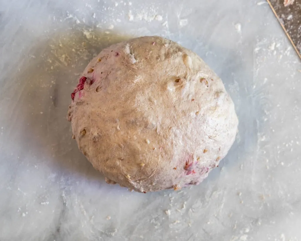 A shaped loaf of walnut cranberry sour dough bread.