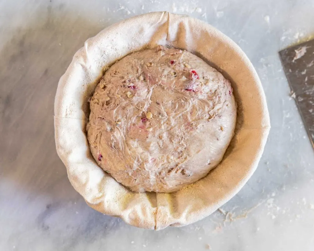 Shaped Sourdough bread dotted with chopped walnuts and cranberries in a banneton basket.