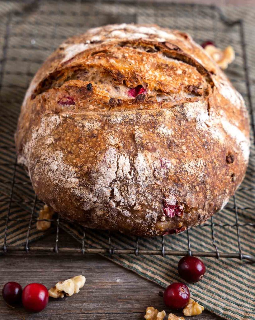 Front view of a loaf of baked sourdough bread with cranberry and walnut.