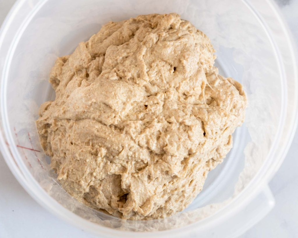 Walnut cranberry bread in a proofing bucket.