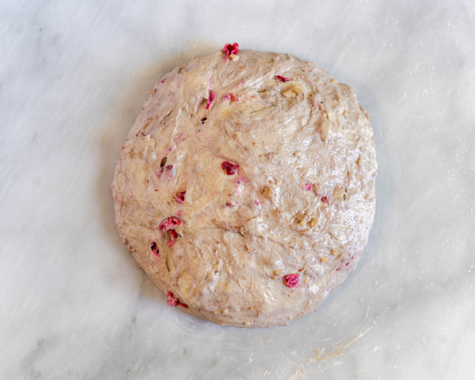 cranberry sourdough bread first shaping into a round loaf.