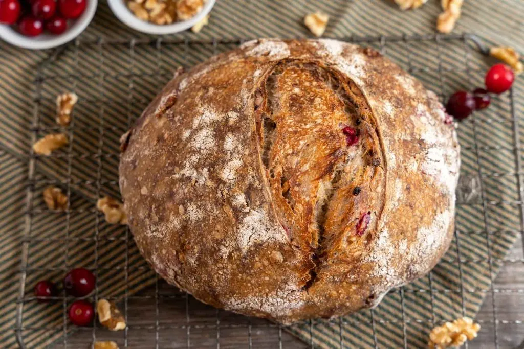 Top down view of a golden loaf of walnut sourdough bread with cranberries.