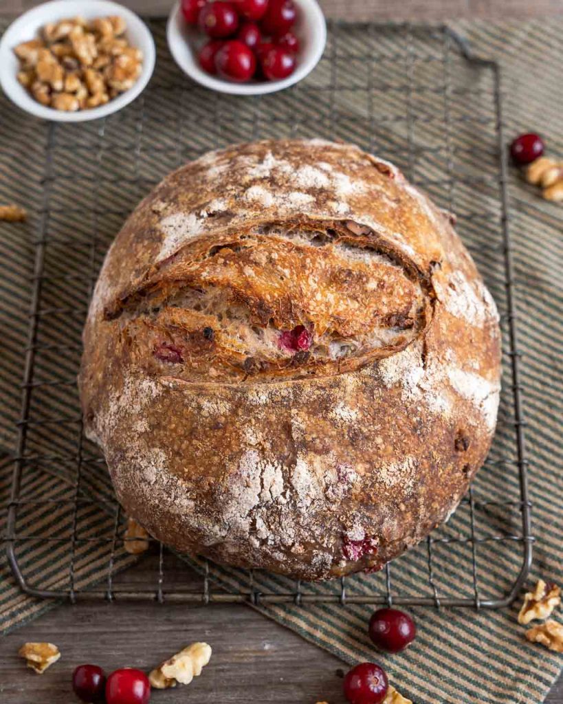 Table view of a loaf of sour dough bread with cranberries and walnuts sitting on a cooling rack.