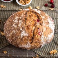 An angled view of a golden brown loaf of sourdough bread with cranberries and walnuts.