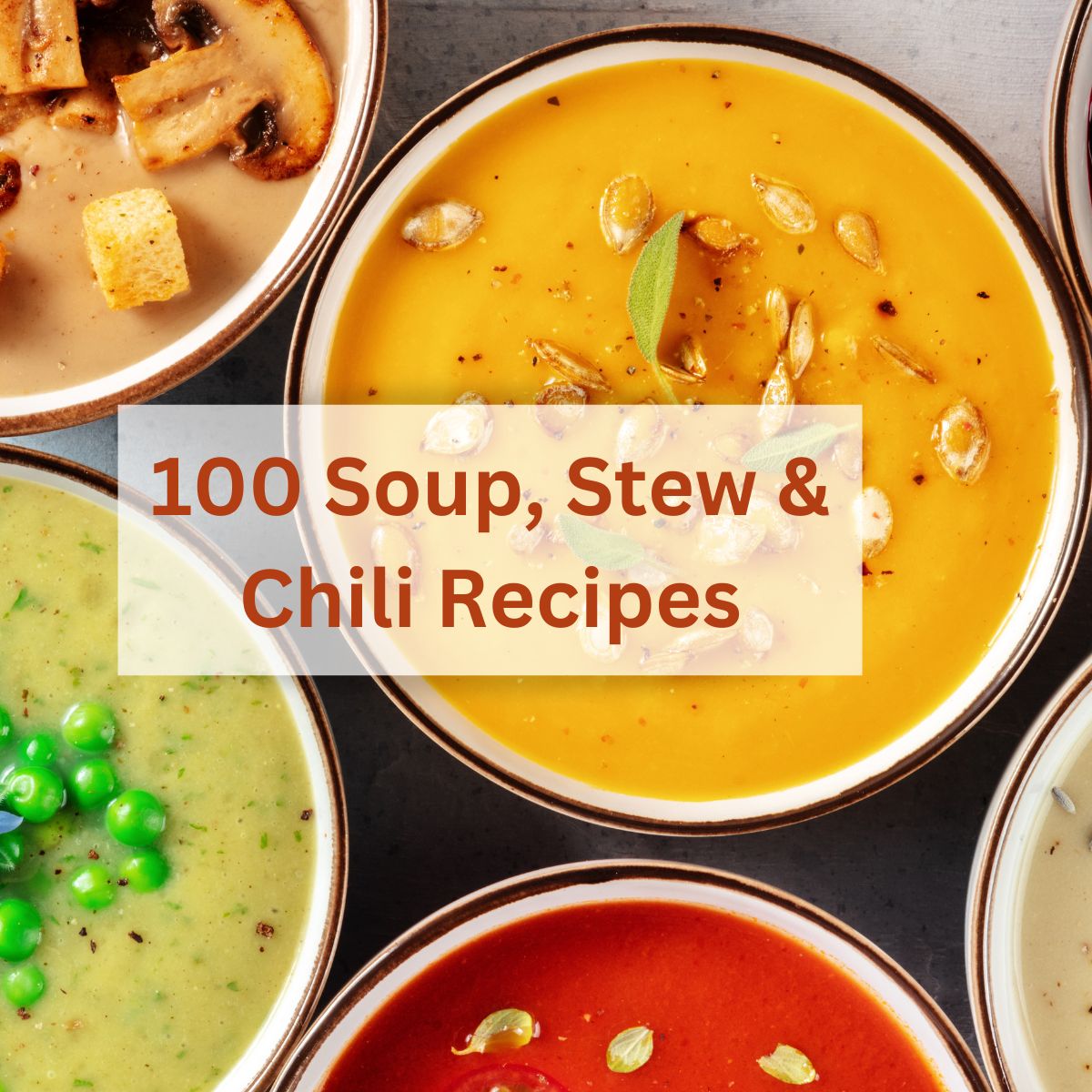 Top down image of bowls of soup with the title "100 Soup, Stew and Chili Recipes Running through it.