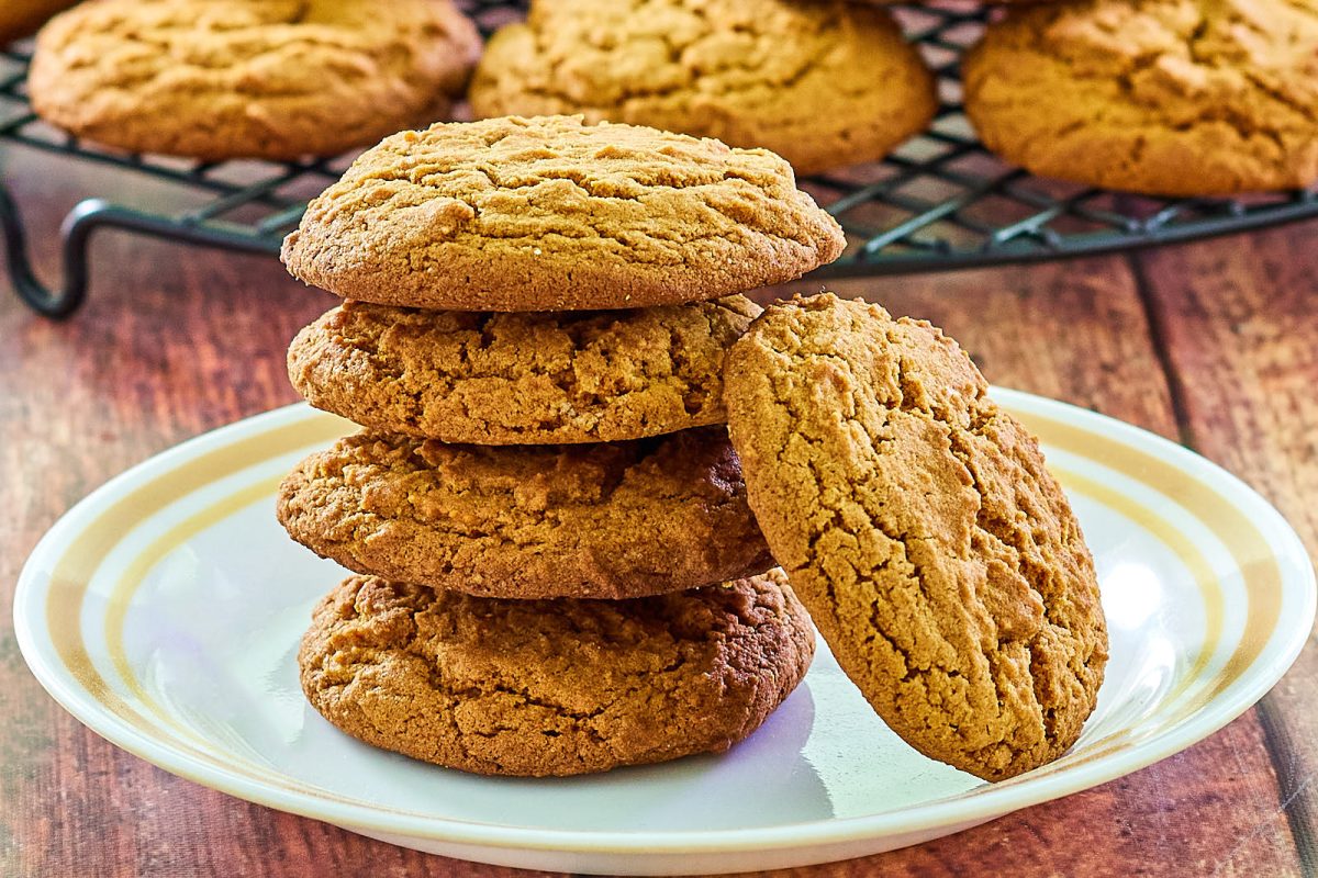A stack of cookies baked from a gingerbread cookie recipe on a plate.