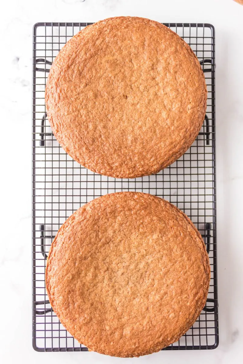 Two layers of baked round cake sitting on a cooling rack. Hostess At Heart
