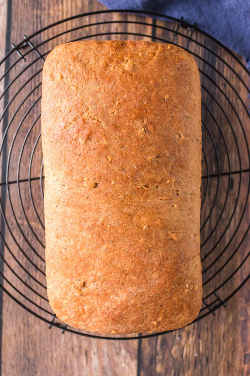 Top down view of a loaf of wholegrain bread on a cooling rack