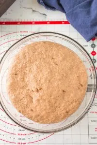 Top-down view of bread dough after rising. Hostess At Heart